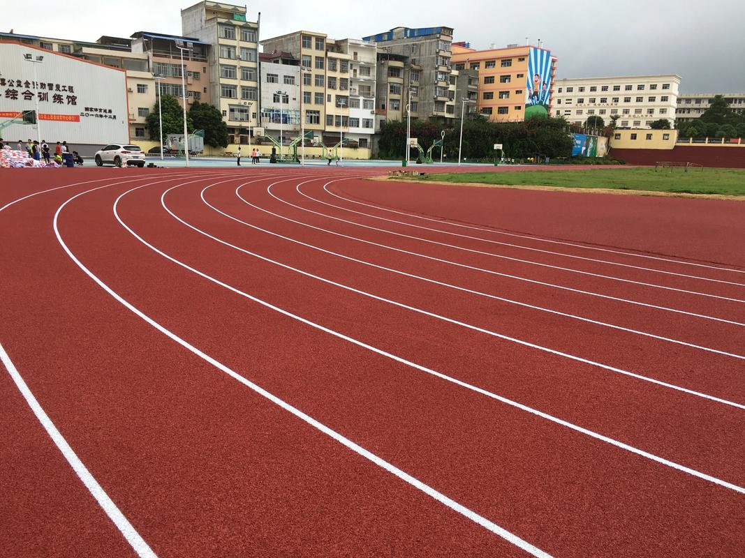 东莞市硅PU材料塑胶跑道材料 - 排名